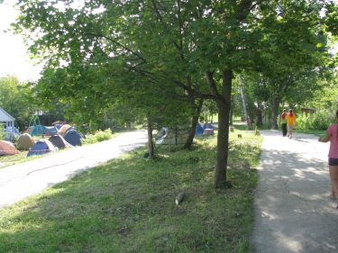 Летняя школа 10–16 августа 2011 года в Хвалынске