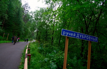 Поход на «Столбы»