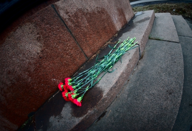 7 ноября 2014 года (уборка памятника на Дудинской)