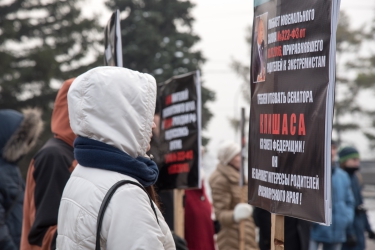 Митинг против закона «о криминализации семьи» 